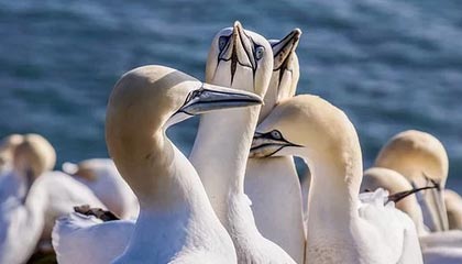 欧美直接打明牌了，中方大使：做好战斗准备