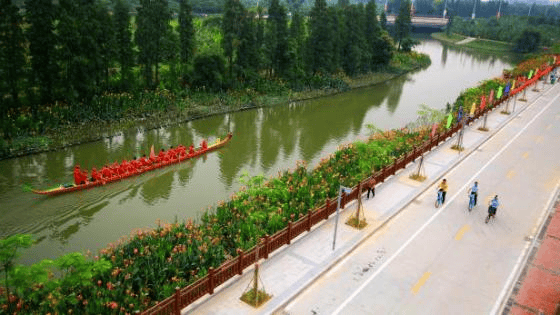 今年东莞“唯一”！麻涌这条村入选2025年全国“书香社区”