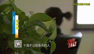 “从小不缺钱，父母百依百顺”，53岁啃老女花光父亲遗产后，又盯上……