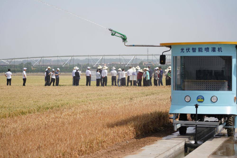 时政微观察丨从习主席引用的古语读懂“上合力量”