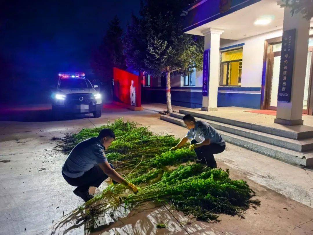 中国留学生因用手机拍照翻译遭拘押，中使馆紧急提醒！【新闻早知道】