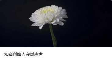 跨境网赌头目佘智江(湖南出生,后获柬埔寨国籍),被引渡回中国