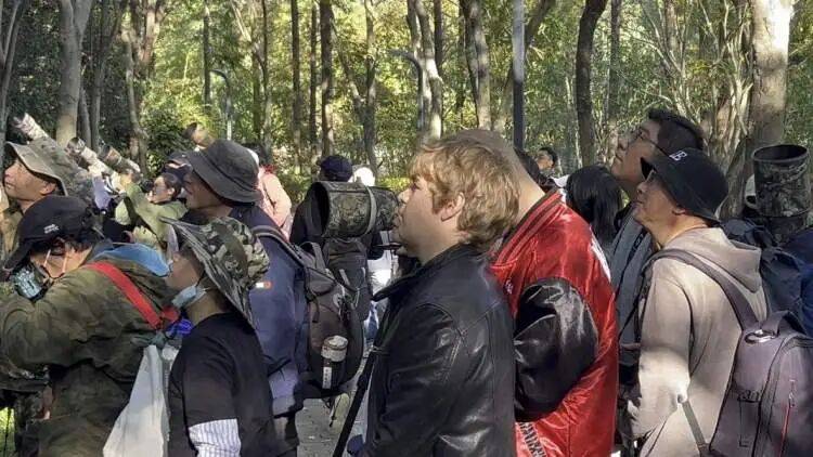 百年罕见!首次在上海被目击,有人专门从北京“打飞的”赶来