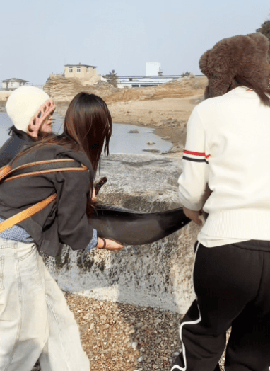 女大学生在大连海边拍摄素材，却意外发现已死亡的它