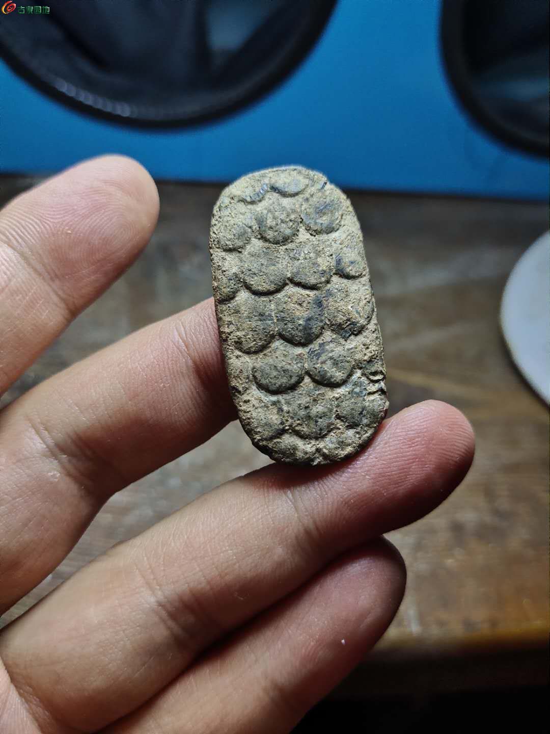 乌龟币(乌龟币比例)