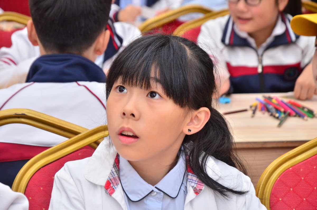 币钱通的简单介绍