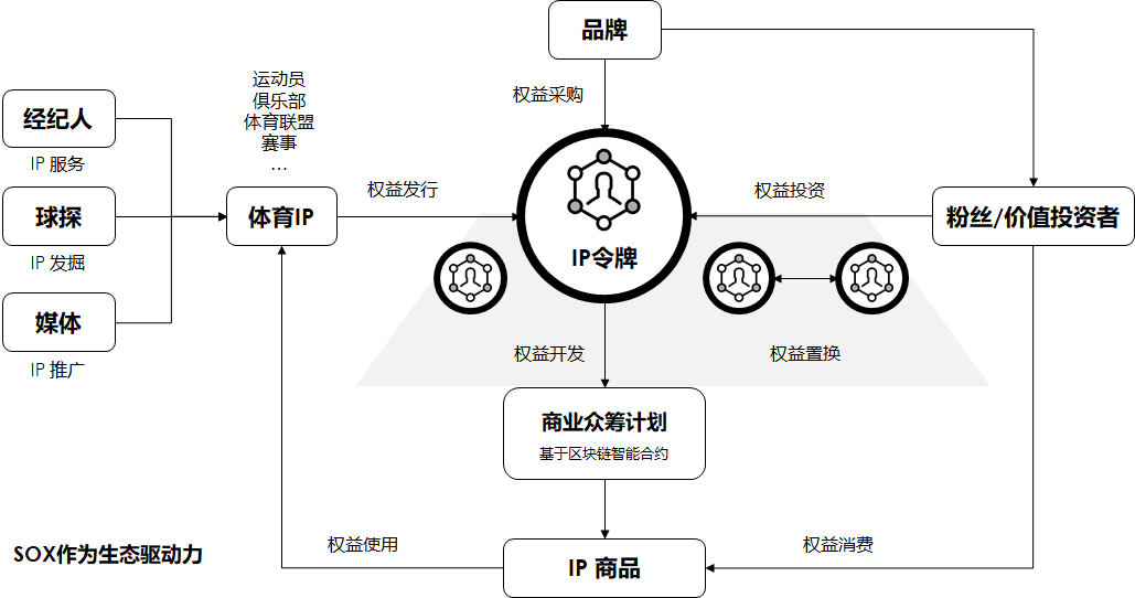 币圈生态图(币圈真正的eos生态)