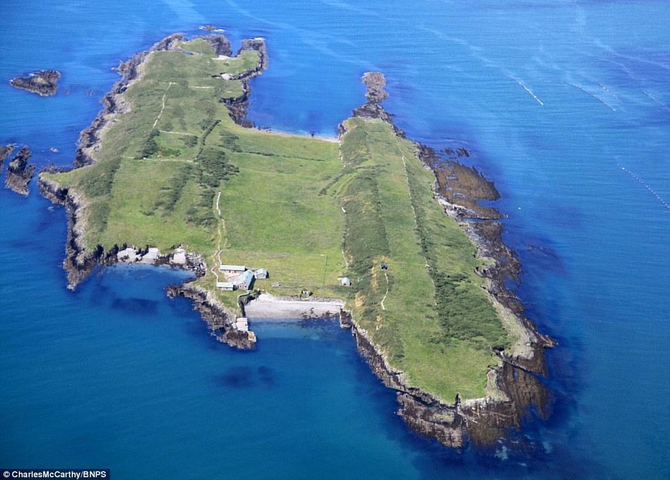 海岛币(海岛币对换)