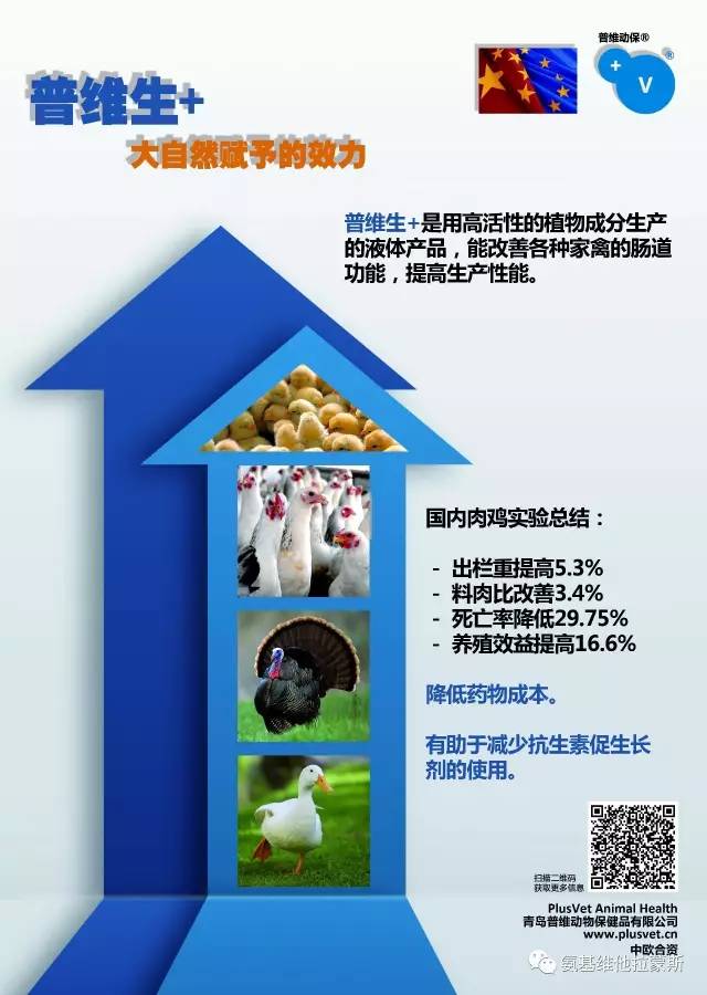 普维币(普维币创始人)
