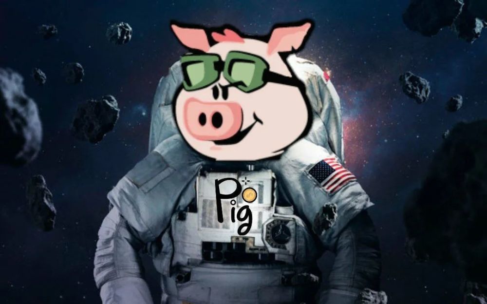 PIG币(pig币猪币最新价格)