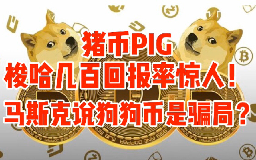 PIG币(pig币猪币还会再暴涨吗)
