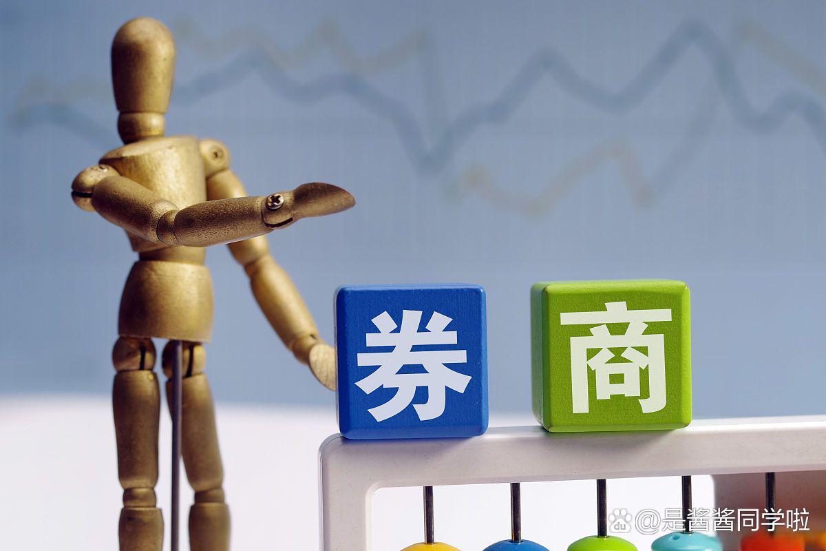 证券市场投资(证券市场投资者的概念)