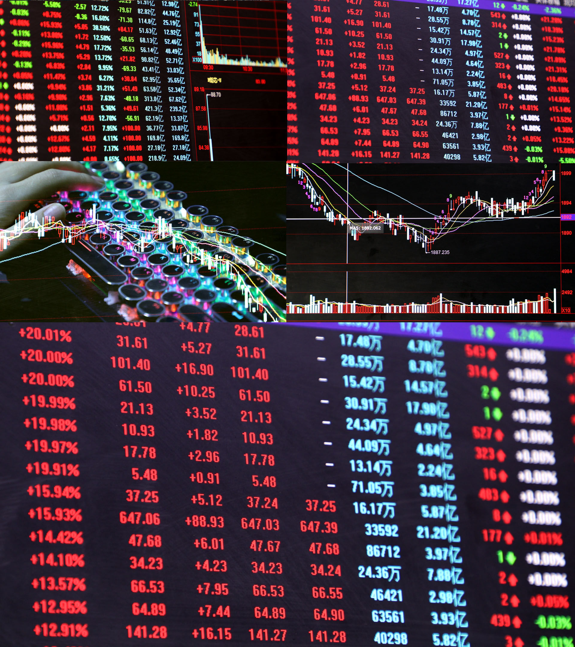什么是金融证券(金融证券是干什么的)
