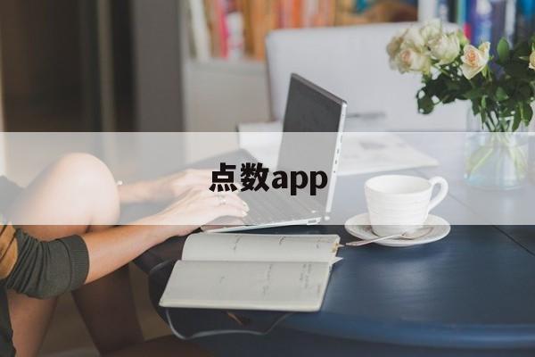 点数app(点数app下载)